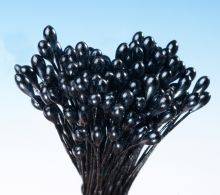 Pestíky perleťové černé svazek Hamilworth