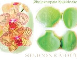 Silikonová forma žilkovač orchidej Galias Moulds